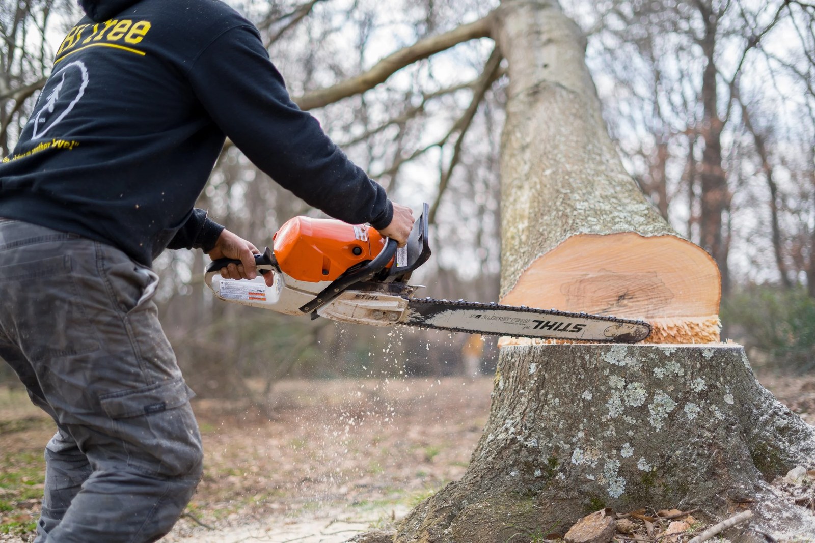 Tree Removal